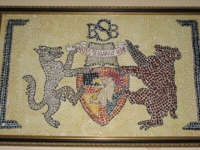 Image 15